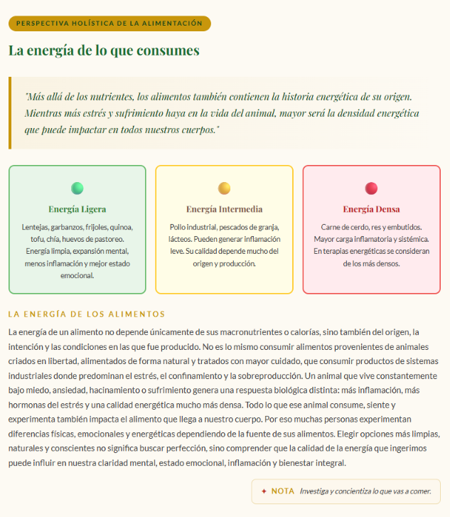 Vista interior: la energía de lo que consumes
